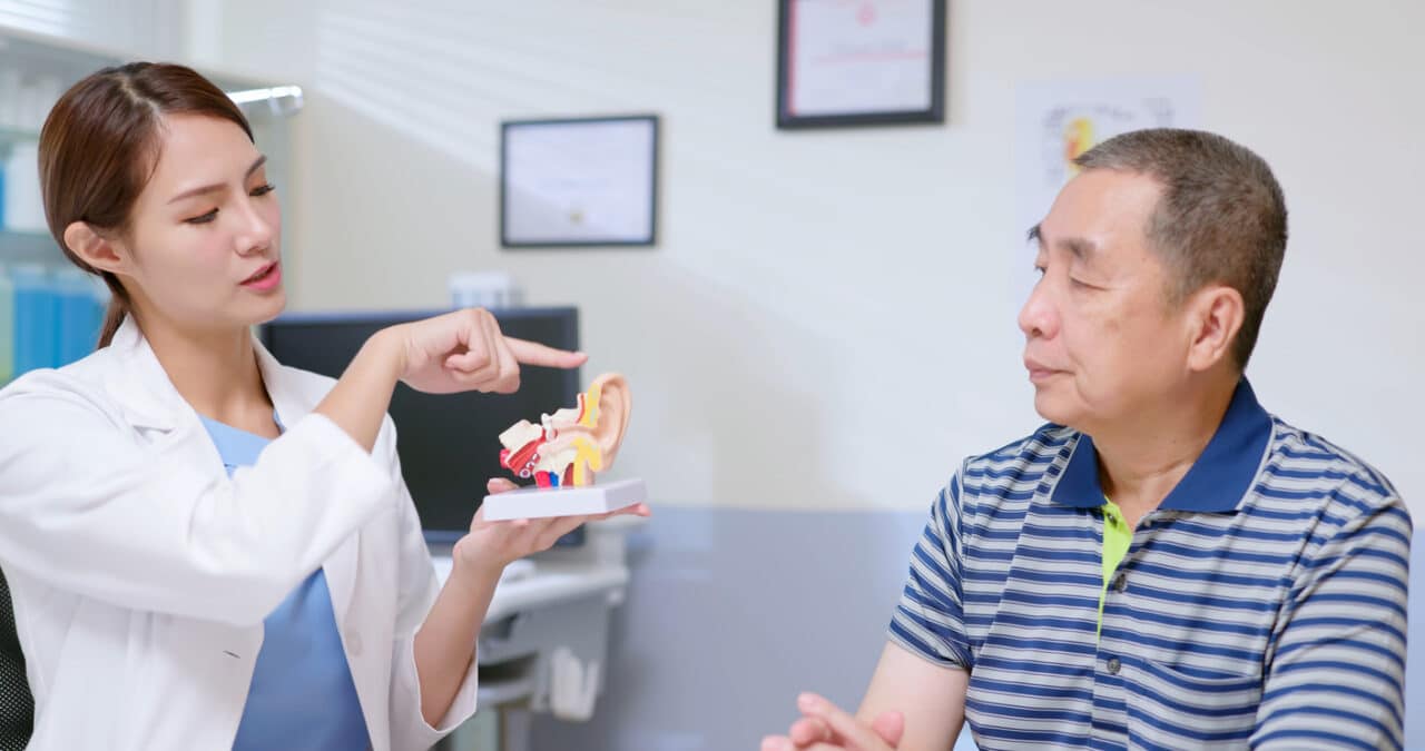 Audiologist demonstrating an ear model